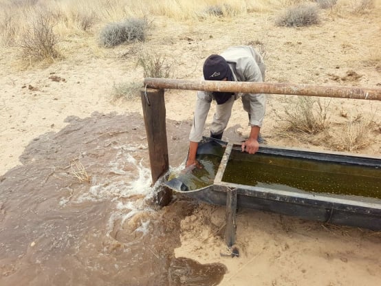 waterkrippe