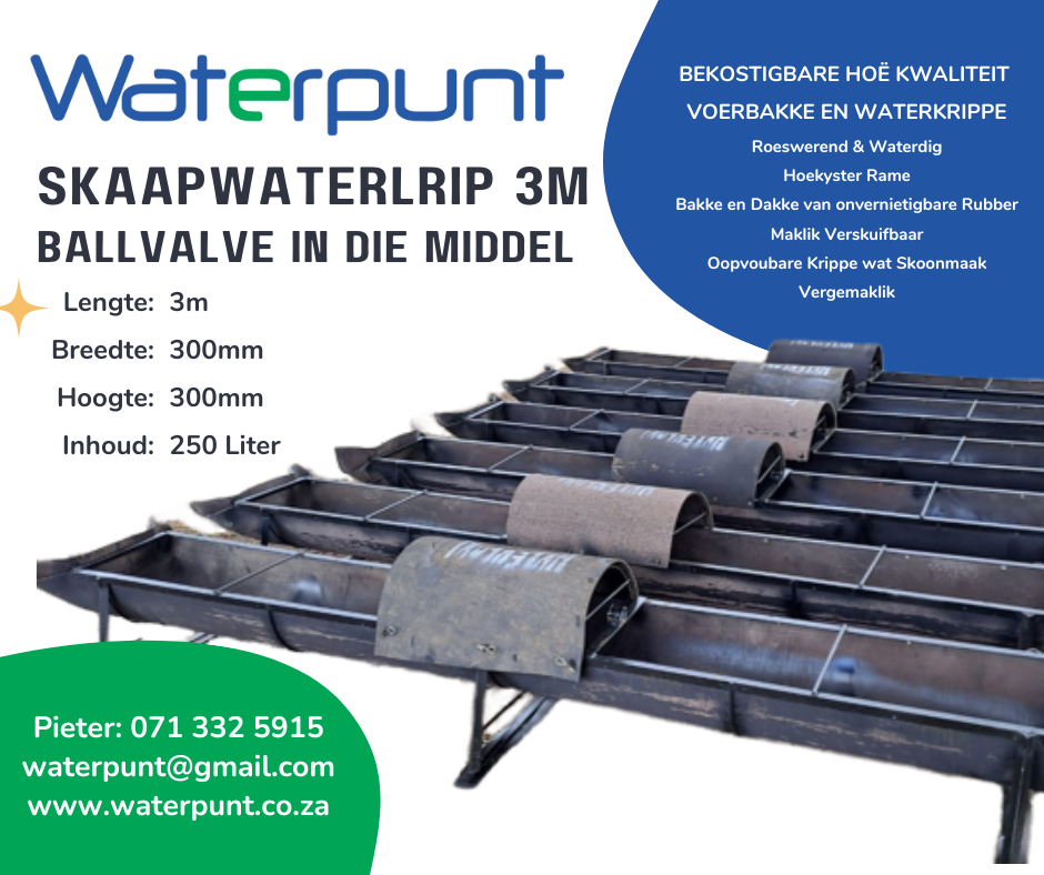 Skaapwaterkrip Ballvalve in die middel